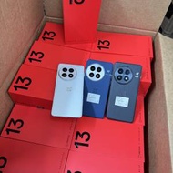 oneplus13