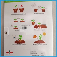 ❀ SULTAN F1 HYBRID SWEET PEPPER / BELL PEPPER / ATSAL (100 SEEDS) by EAST WEST SEED
