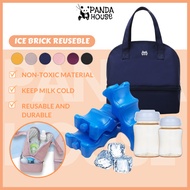 Breastmilk Cooler Bag with Reusable Ice Brick Keep Milk Fresh Holds up to 6 bottles of breastmilk
