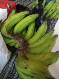 Buah pisang nangka 1kg