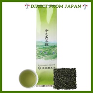Seisenen Main Store Hand-Rolled Gyokuro Kyoto Uji Premium Green Tea Leaves 100g | Uji, Kyoto Produce