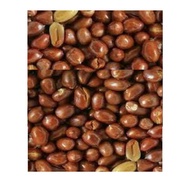 Kacang Tanah Goreng by IKKI Food