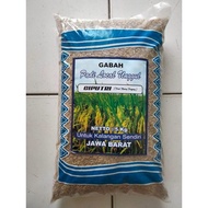 ORIGINAL Benih bibit padi ciputri / ciherang malay panjang kemasan 5kg