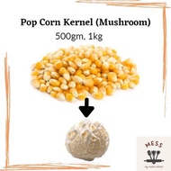 Mushroom Popcorn Kernel / Bertih Jagung USA