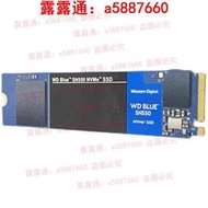西數黑盤SN770/藍盤SN570 120/240/250/480/500 G/1T SSD固態硬盤