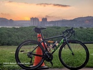 Giant TCR ADVANCED 2 2018 輕量碳纖維車架 碳纖維前叉 碳纖維座管 SHIMANO 105 11S ULTEGRA後變 50/34 11/34 無內胎系統