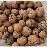 SG Instocks Leca Balls Stones For Potting Medium Hydroponics (8-14mm) 100g and 200g options