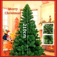 (WY) Merry Christmas Tree 3ft/4ft/5ft/6ft/7ft/ Christmas TreesHigh Quality Xmas Tree Christmas Tree