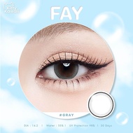 คอนแทคเลนส์ รุ่น Fay สีเทา/ตาล/ดำ Gray/Brown/Black มีค่าสายตา (0.00)-(7.00) เปลี่ยนแทนทุกเดือน