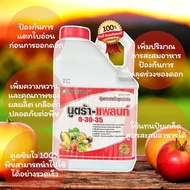 นูตร้าแพลนท์สูตร 0-30-35 ขนาด 5 ลิตร ป้องกันการแตกใบอ่อนก่อนออกดอก เพิ่มการสะสมอาหาร ในพืชลดการหลุดร