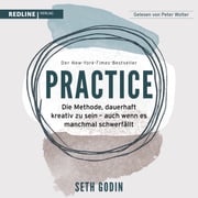 Practice Seth Godin