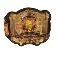 Gladiator Fight Club Championships