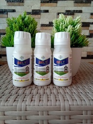 insektisida BELT expert 480SC 100ml