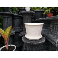 White woven flower Pot 25cm + white coaster