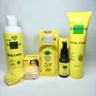Temulawak Beauty Cream Package 5in1(Cream+Ser Glow+Toner+Facial F+Lotion)