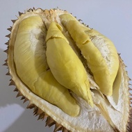 PPC durian montong palu parigi utuhan/butiran BERKUALITAS