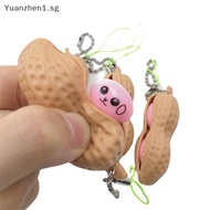 ZHEN Simulated Peanut Toys Pack Creativity Anti Stress Vent Squishy Squeeze Deion Toys Cute Funny Keychain Child Adults Toy SG