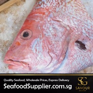 Snapper Fish Half Head (Savour Gourmet)