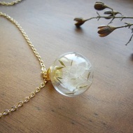 *coucoubird*蒲公英金色項鍊