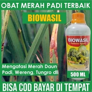BIOWASIL Obat Hama Padi Merah Daun Pestisida Padi Terbaik Obat Hama Merah Daun Padi Obat Hama Walang