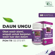 DAUN UNGU Obat Wasir Ambeien Lancarkan BAB Susah Herbal Indo Utama isi 60 Kaps