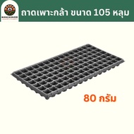 ถาดเพาะกล้า 105 หลุม 80 กรัม ถาดเพาะชำ ถาดเพาะต้นกล้า ถาดเพาะต้นอ่อน ถาดเพาะเมล็ด ถาดเพาะ ถาดเพาะปลู
