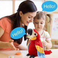 [Dijual] Mainan Boneka Peniru Suara Burung Beo Bisa Bicara Boneka
