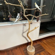 Bird Stand Branch Branch Branch Branch Parrot Stand Trunk Log Standing Pole Branch Swing Birdcage So