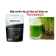 Terrasoul Superfoods Organic Wheat Grass Juice Powder (Organic Wheatgrass Juice Powder) -141gr