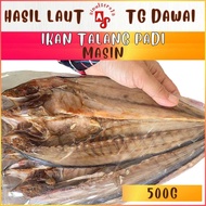 Ikan Talang Padi Masin Tanjung Dawai 500g