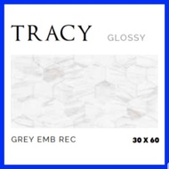 Keramik Dinding Platinum - Tracy series 30x60