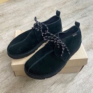 Clarks Desert Trek GTX