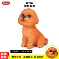 77❤3S solid dog Teddy dog dog dog model toy poodle poodle poodle poodle DS2 CFD