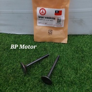 ENGINE VALVE SET SPORT RIDER 125i INTAKE & EXHAUST VALVE ENGINE VALVE  SET IN EX VALVE