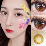 【ready stock & give gifts】2pcs Colorful  Contact lens Yearly use brown Beauty lenses degrees0.00-8.0