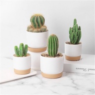 MEROFA Beautiful Green Plant Succulent Plants Garden Supply With Drainage Hole Orchid Pots Self Watering Flower Pot Flower Containers Indoor