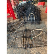 Cage folded with 2 sides of crest and crest