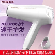 Feike Hair Dryer Household High Power2000W Hair Care Foldable Hair Dryer for Home and Salon Use FH62