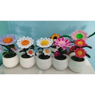 Mini pot flower gift for birthday or any occasion/deco room/deco car/deco office table