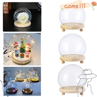 CAMELLI Glass cloche Plants Home Decor Spherical Terrarium Transparent Bottle Jar Flower Storage box