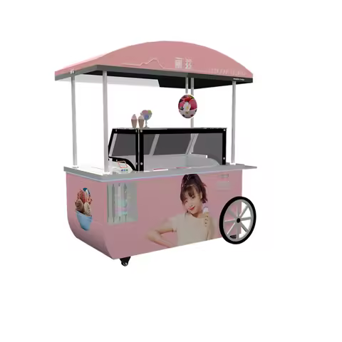 Hand Push Ice Cream Bike with Freezer Gelato Display Freezer Frozen Drink Refrigerated Chiller Showc