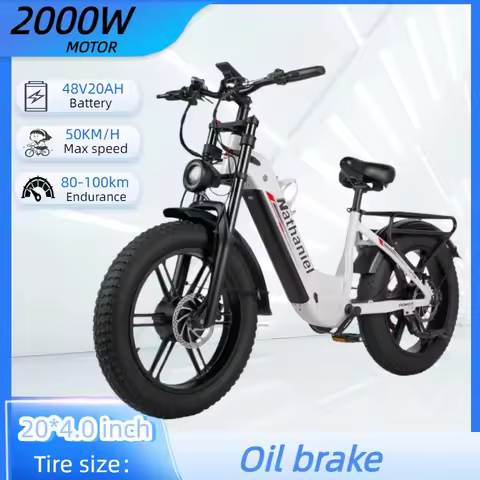 Nathaniel SYR08 Electric bicycle 2000W motor 48V20Ah battery 20 inch tire electric bike 50km/h Doubl