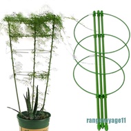 (Ready To ship) vines frame, ivy plant accessories