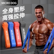 Resistance Bands Pull Up Assist Band 16kg/35lbs Fitness Training Exercise Band