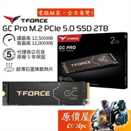 Team Group T-Force GC PRO [2TB] M.2 PCIe 5.0 SSD/DRAM Cache/Original Price House
