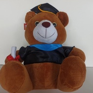 Bear Wisuda/ Boneka Bear Wisuda/ Boneka Wisuda