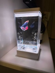 小型魚缸連LED燈