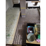 Betta Fish Accessories