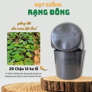 [20 cái] Chậu Trồng Cây Nhựa Dẻo C12 Không Lỗ Thoát Nước - KT:31x27cm dày dặn mày đen độ bền cao - H