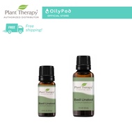 Plant Therapy Basil Linalool Essential Oil